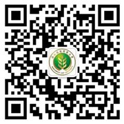 采购服务系统 / 外事管理服务平台