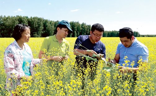 需要原文时请核对应栏目发布页