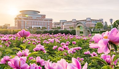 以下内容与「西安体育官网